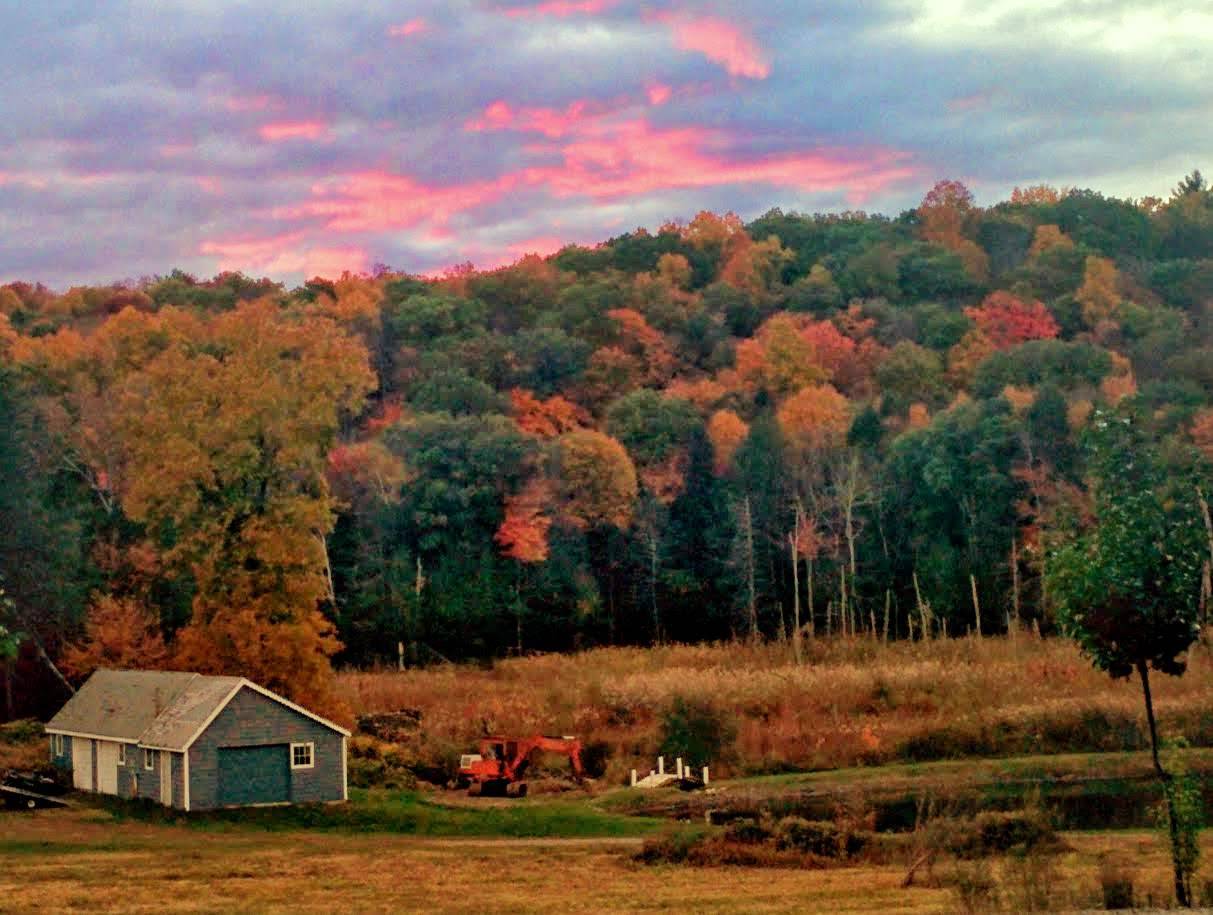 Litchfield