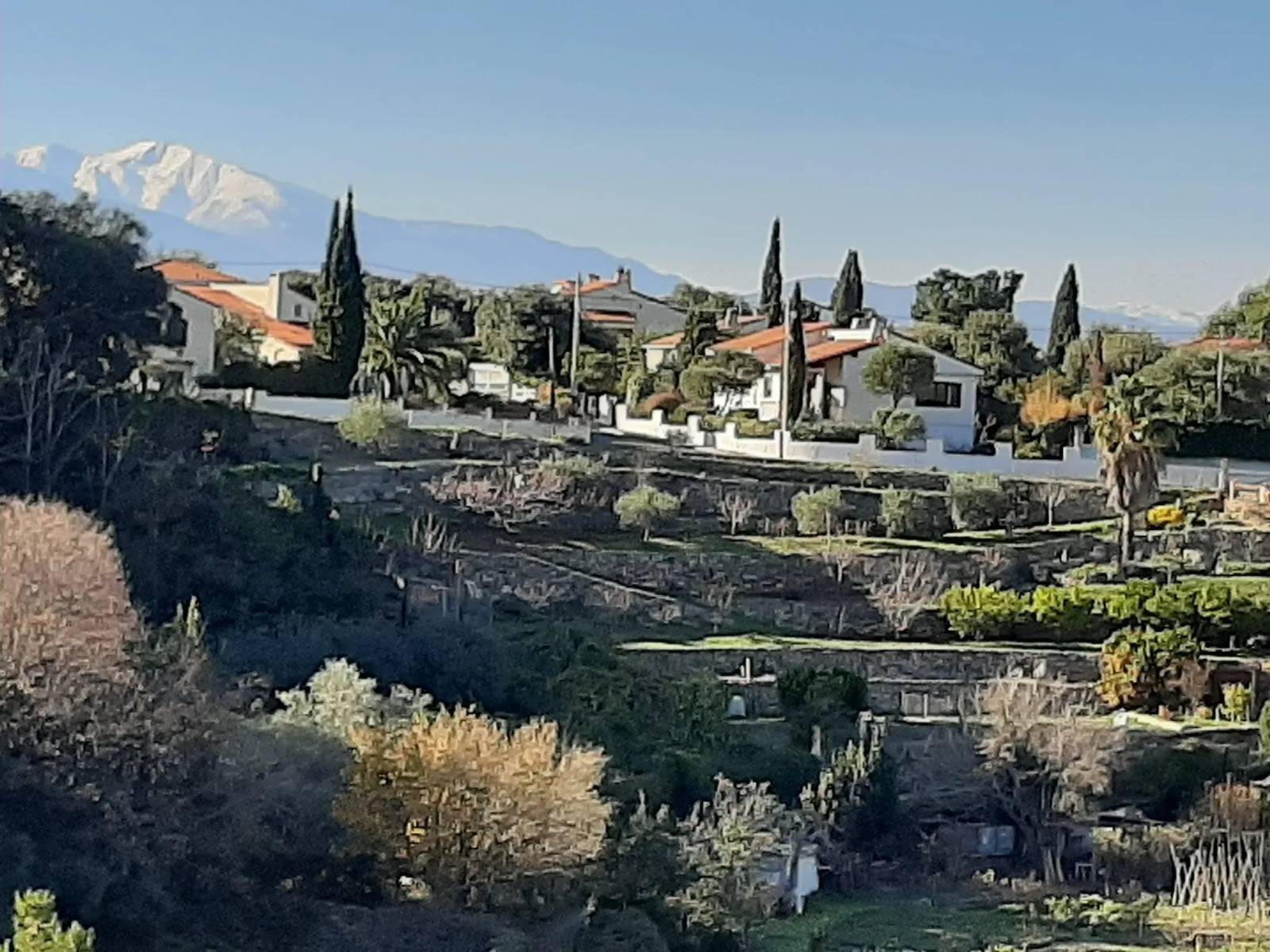 Laroque-des-Albères