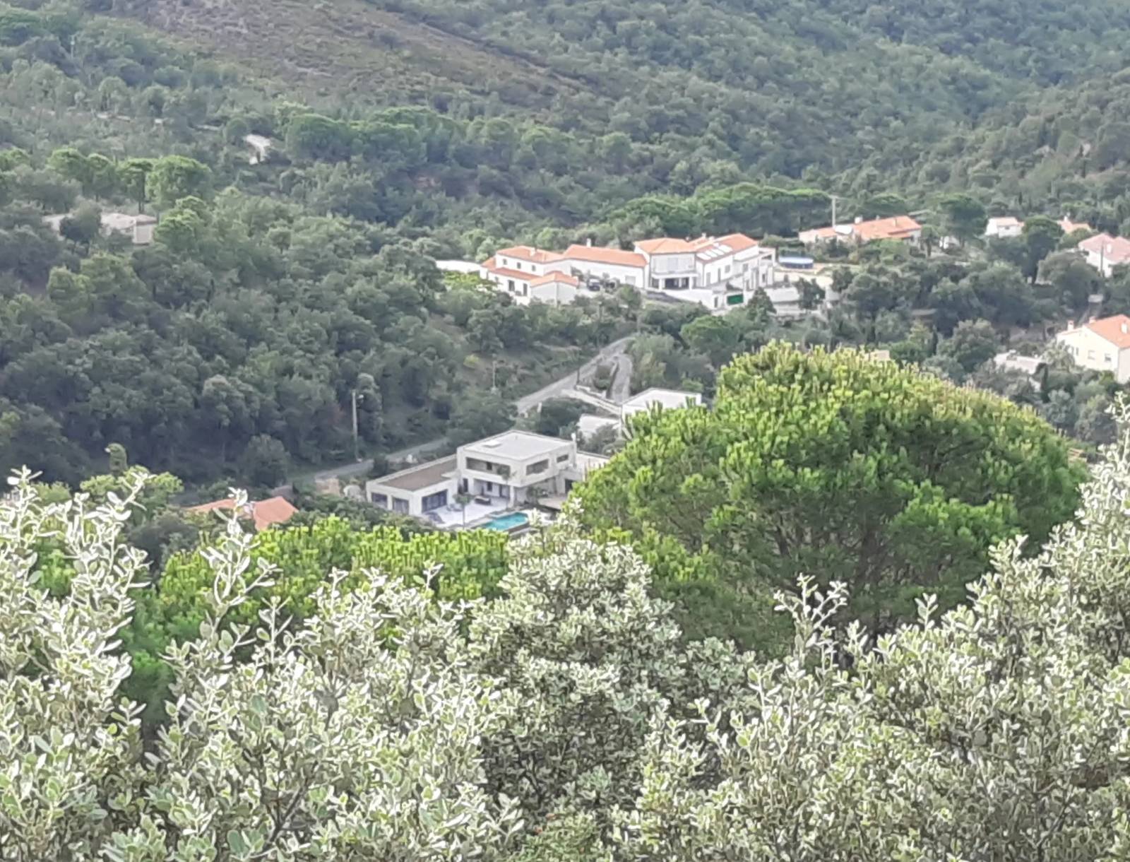 Montesquieu-des-Albères