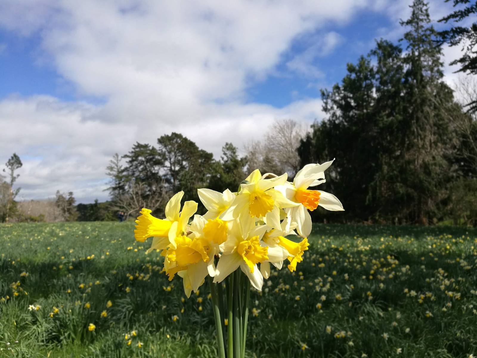 Carterton