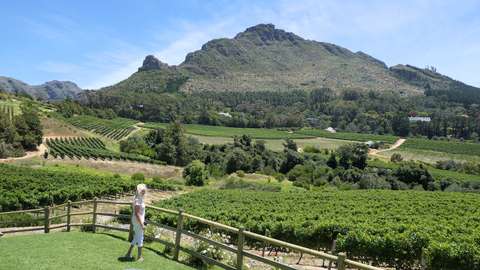 Constantia