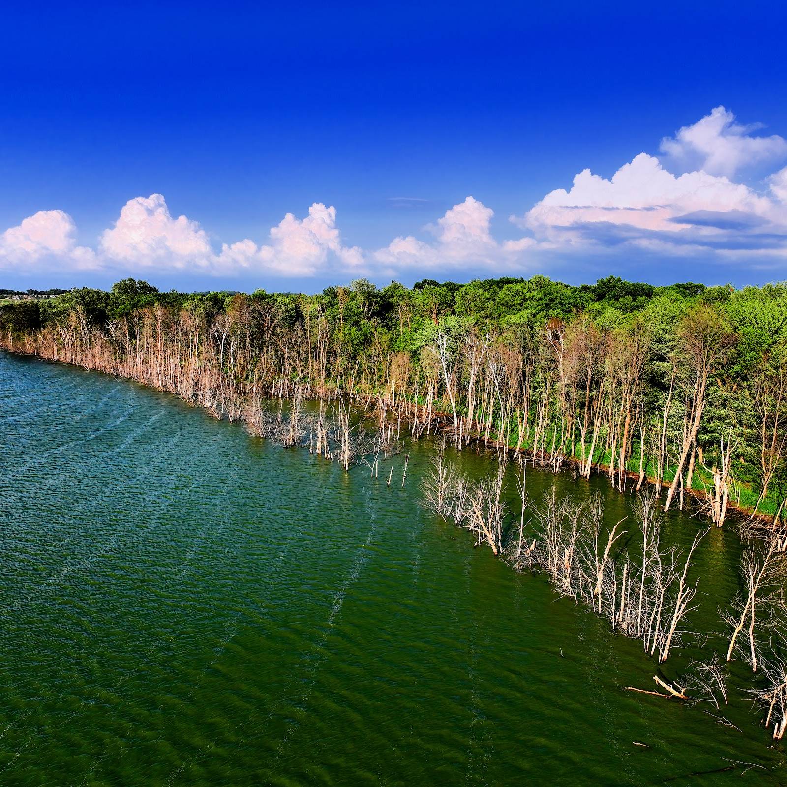 Twin Lakes