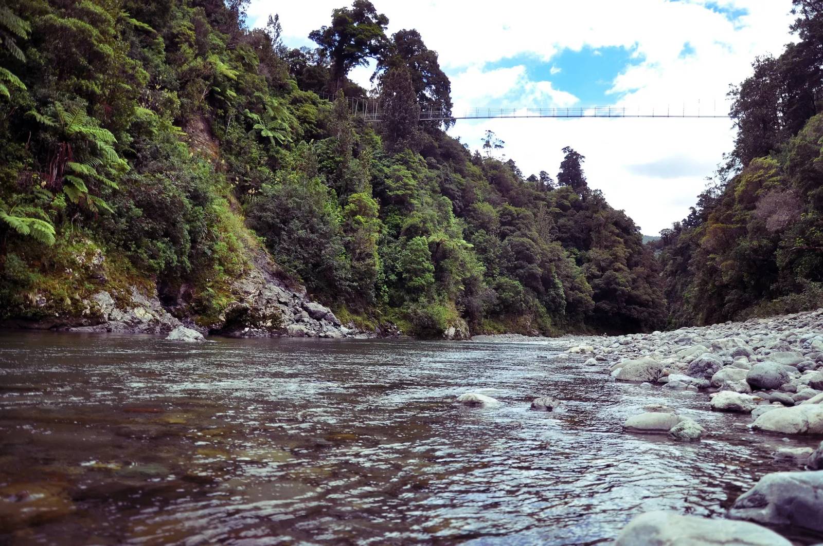 Waiohine