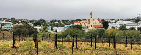 Napier