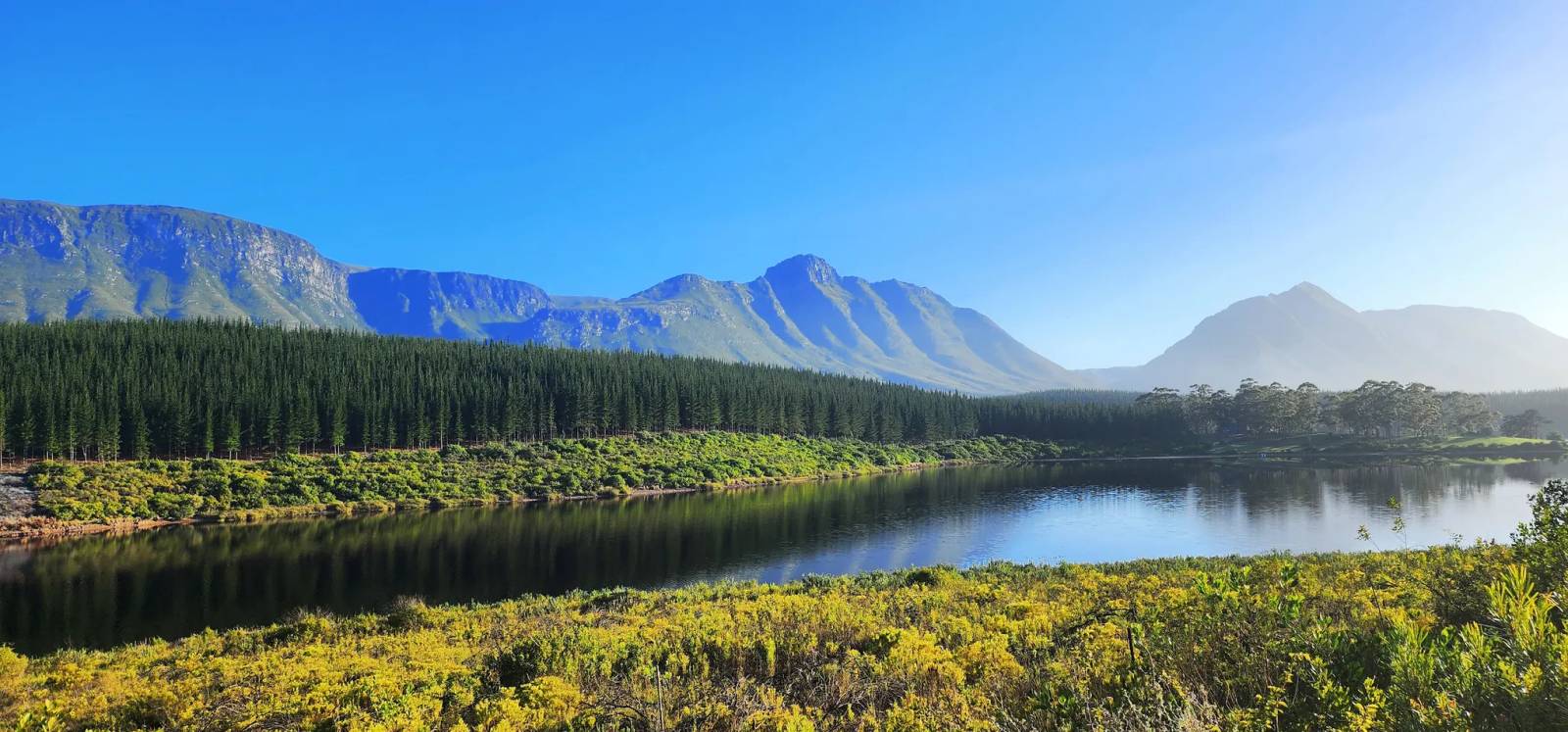 Riversdale