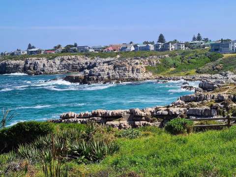 Hermanus