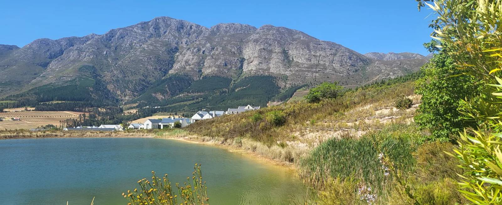 Franschhoek