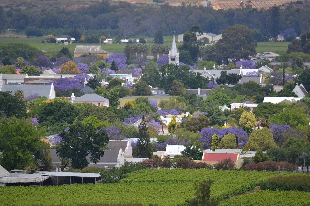 Robertson rooftops, jacarandas and surrounding countryside. Photo: A3alb (CC BY-SA 4.0).