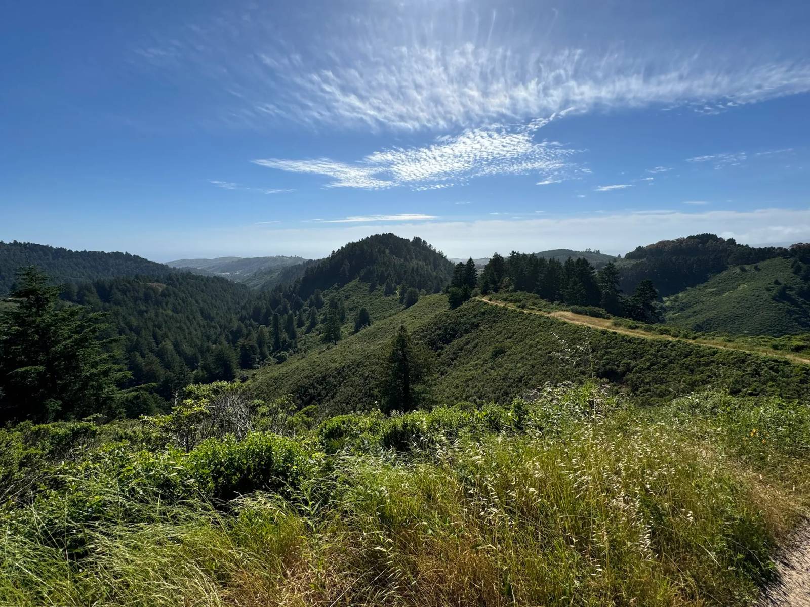 Kings Mountain