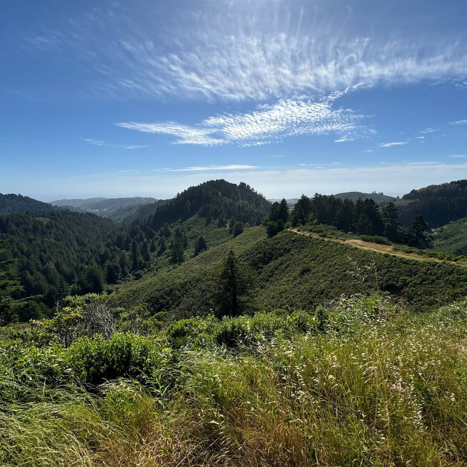 Kings Mountain