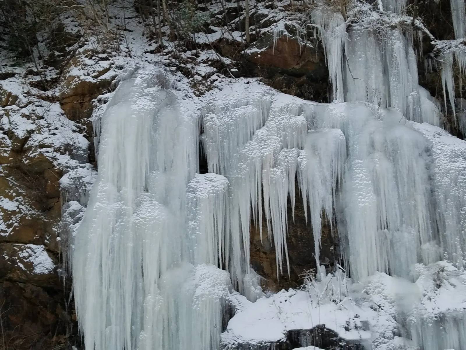 Colebrook