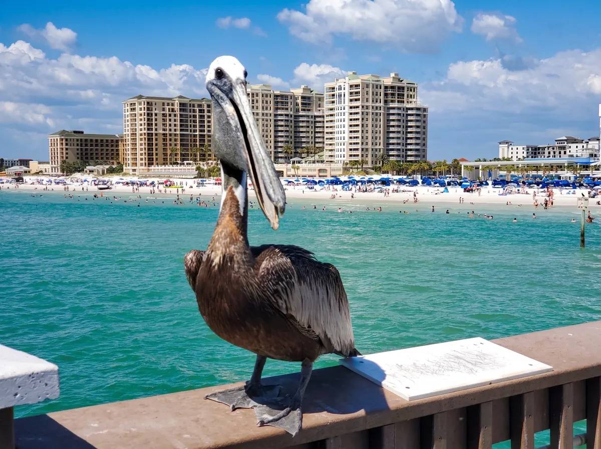 Clearwater